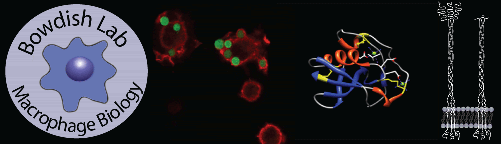 Bowdish Lab
