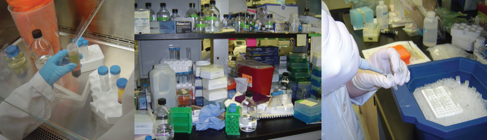 Lablife