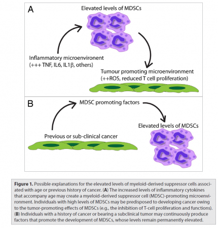 MDSC commen figure