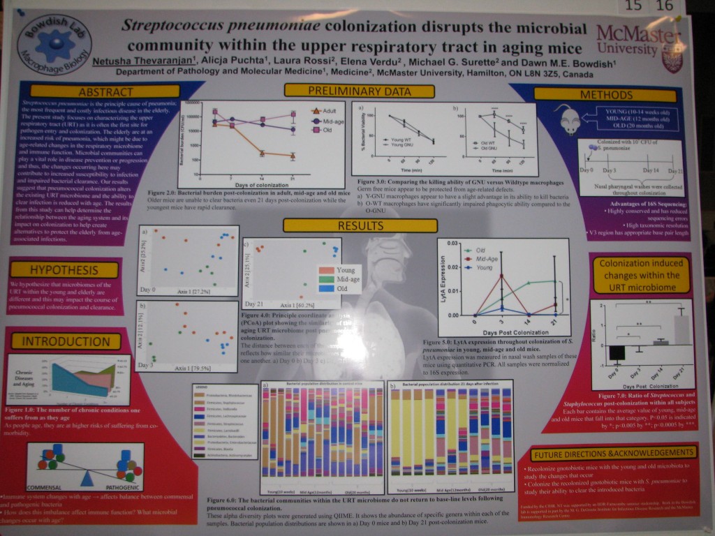 A poster of Netusha Thevaranjan's undergraduate work that she's continuing as a MSc student. 